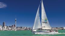 Harbour Sailing Cruise - Explore Group